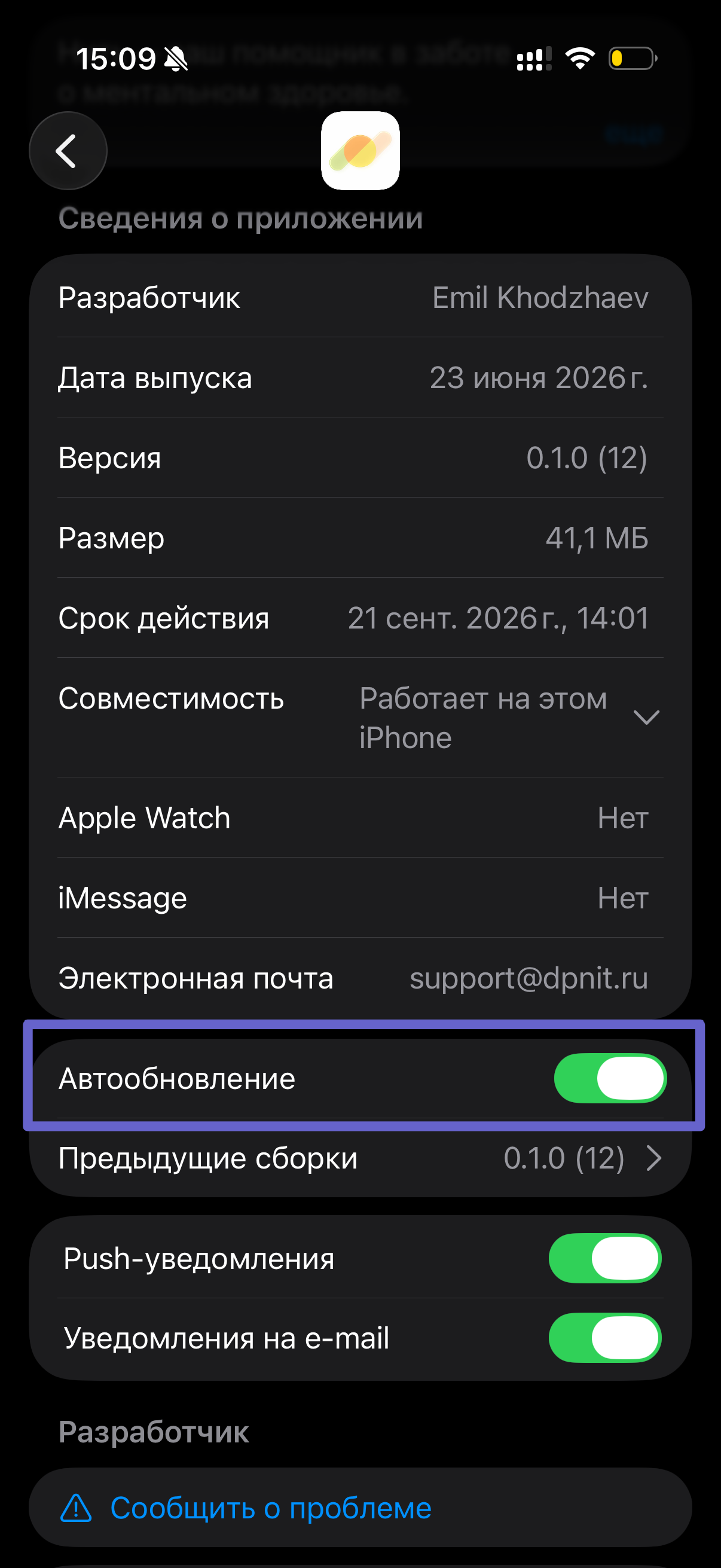 Экран TestFlight с включённым автообновлением