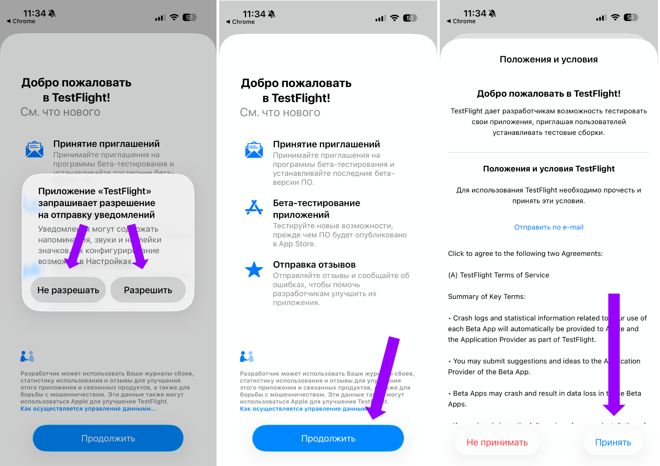 Первые экраны TestFlight на iPhone